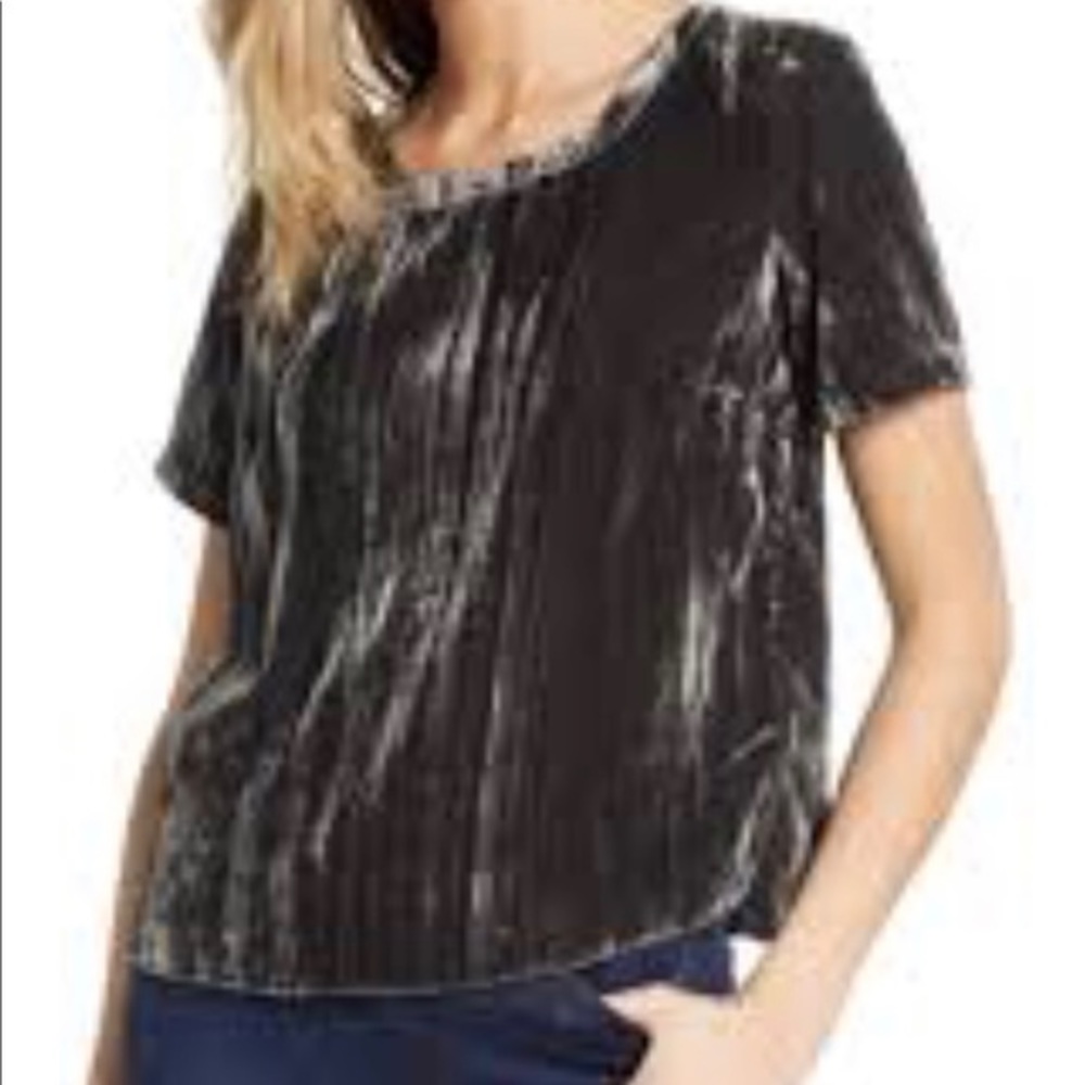 Splendid, nwt, lg, moonstone velvet tee